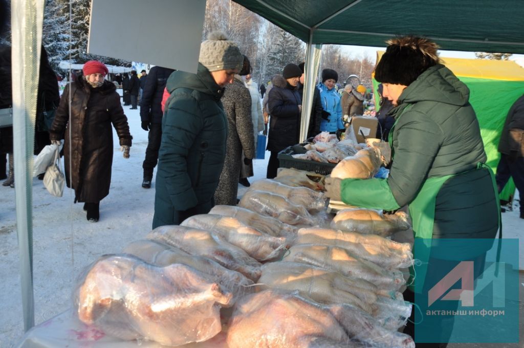 ЯРМИНКӘ САТУ ИТӘ: Актанышта Яңа ел алды ярминкәсе гөрләде (+БЕЗНЕҢ ФОТОРЕПОРТАЖ)