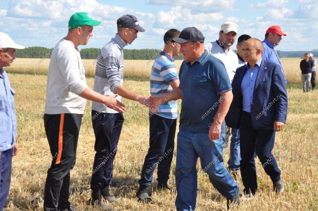 Марат Әхмәтов: “Быел Татарстанның бер генә районында да күрелмәгән язгы бодай Актанышта”