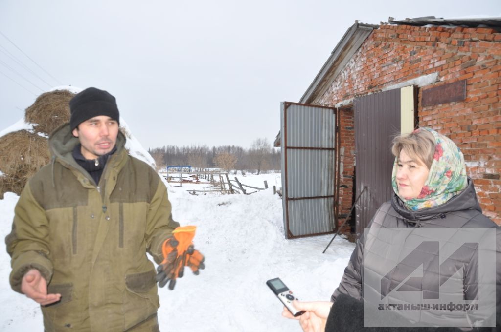 МАЛ АСРАР ӨЧЕН ТЕЛӘК ҺӘМ ТЕРӘК КИРӘК: Күҗәкәдә терлекчелекне яшьләр үз итә (БЕЗНЕҢ ФОТОХИСАП ТА БАР)