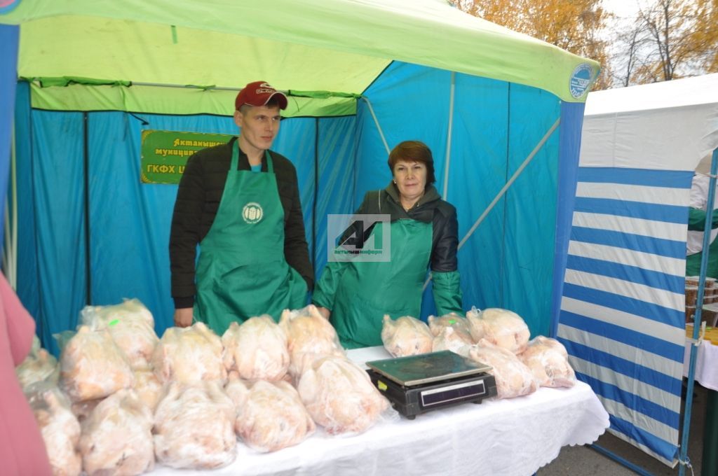 АКТАНЫШТА - БӘЙРӘМ ЯРМИНКӘСЕ: Муллык җитте һәркемгә - сату итте ярминкә! (+ БЕЗНЕҢ ШӘП ФОТОРЕПОРТАЖ)