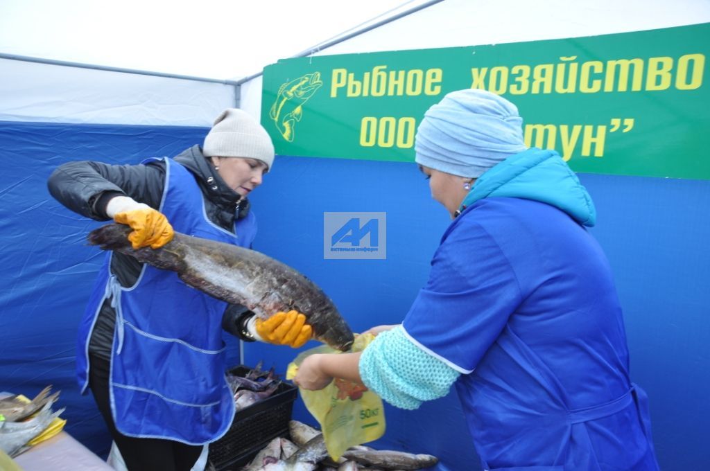 АКТАНЫШТА - БӘЙРӘМ ЯРМИНКӘСЕ: Муллык җитте һәркемгә - сату итте ярминкә! (+ БЕЗНЕҢ ШӘП ФОТОРЕПОРТАЖ)