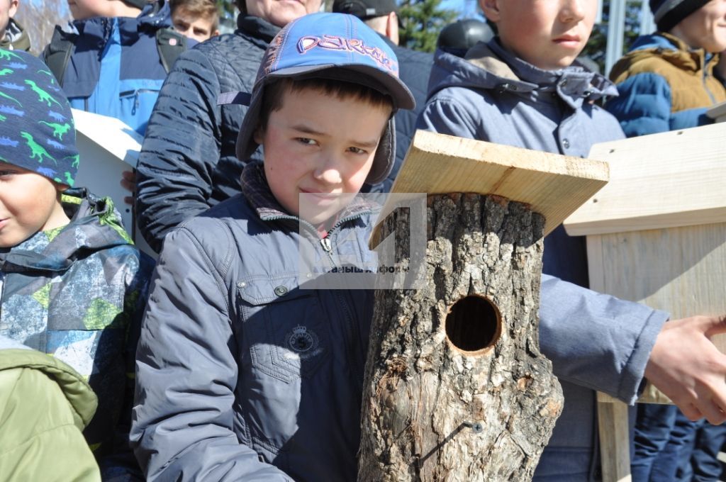 "ЭКО-ЯЗ 2019" КЫСАЛАРЫНДА: Актанышта мәктәп укучылары һәм бакча нәниләре сыерчыкларга 40тан артык оя бүләк итте (+БЕЗНЕҢ ФОТОЛАР)