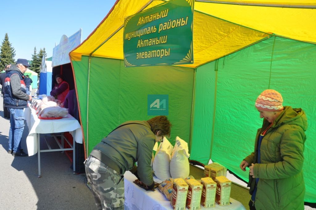 ЯРМИНКӘ САТУ ИТӘ: Актанышта Яз һәм Хезмәт бәйрәме уңаеннан ярминкә гөрли (+ БЕЗНЕҢ ФОТОМИЗГЕЛЛӘР)