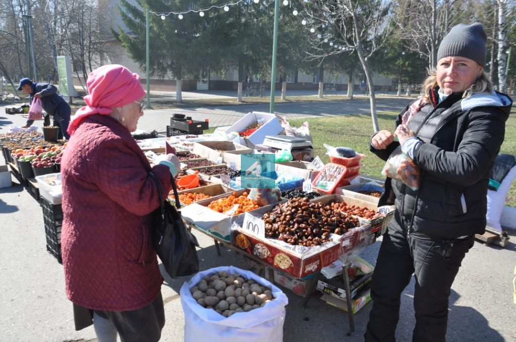 ЯРМИНКӘ САТУ ИТӘ: Актанышта Яз һәм Хезмәт бәйрәме уңаеннан ярминкә гөрли (+ БЕЗНЕҢ ФОТОМИЗГЕЛЛӘР)