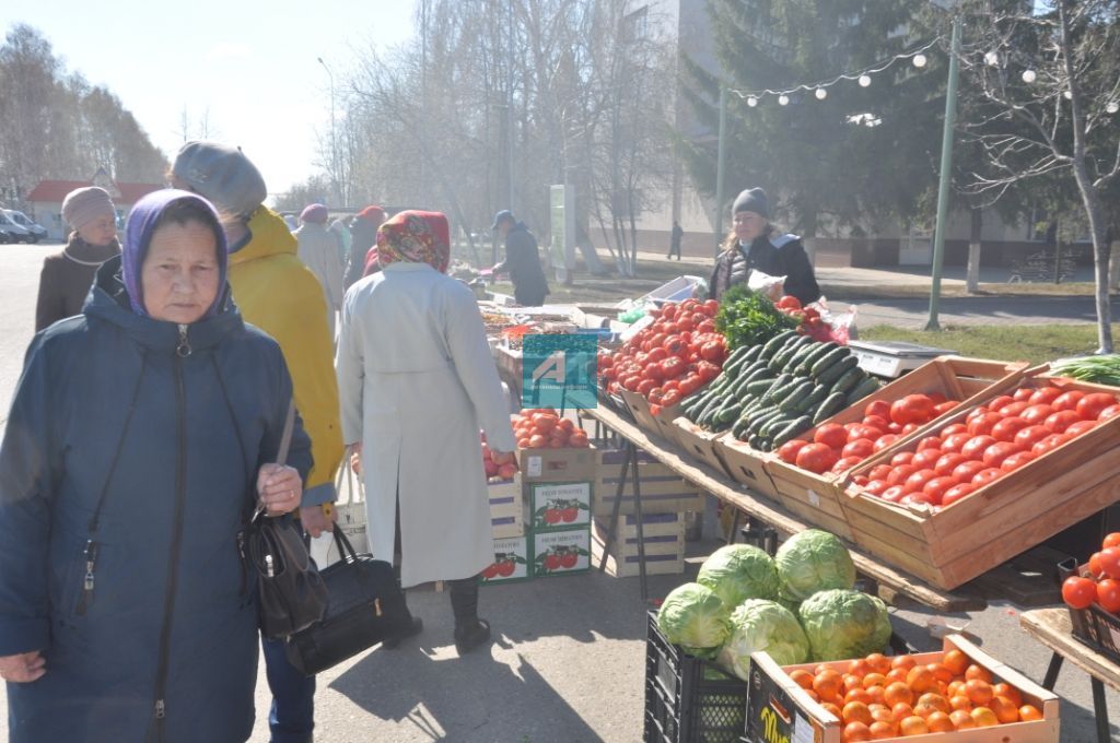 ЯРМИНКӘ САТУ ИТӘ: Актанышта Яз һәм Хезмәт бәйрәме уңаеннан ярминкә гөрли (+ БЕЗНЕҢ ФОТОМИЗГЕЛЛӘР)