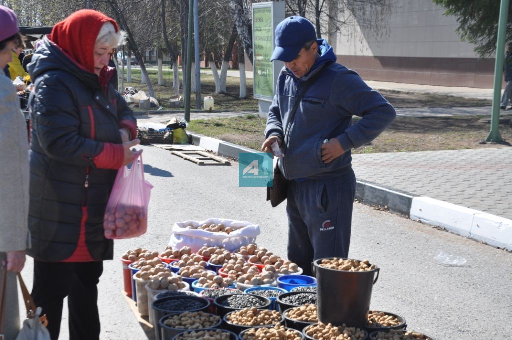 ЯРМИНКӘ САТУ ИТӘ: Актанышта Яз һәм Хезмәт бәйрәме уңаеннан ярминкә гөрли (+ БЕЗНЕҢ ФОТОМИЗГЕЛЛӘР)