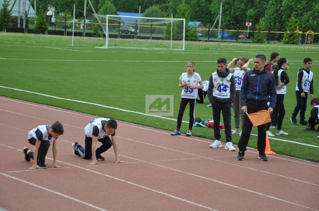 СПОРТ ҺӘМ БЕЗ: Актаныш укучылары ГТО нормаларын тапшыра (+ФОТОЛАР)