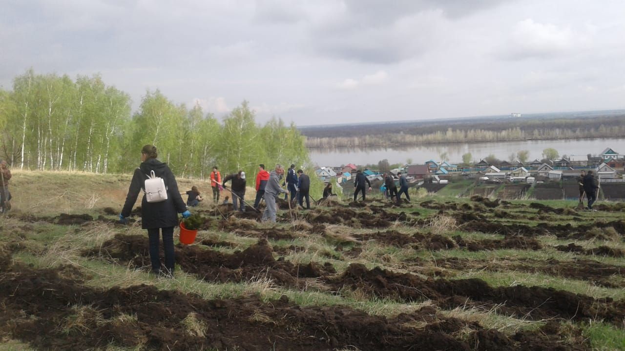 Актаныш урамнарын чыршылар бизи