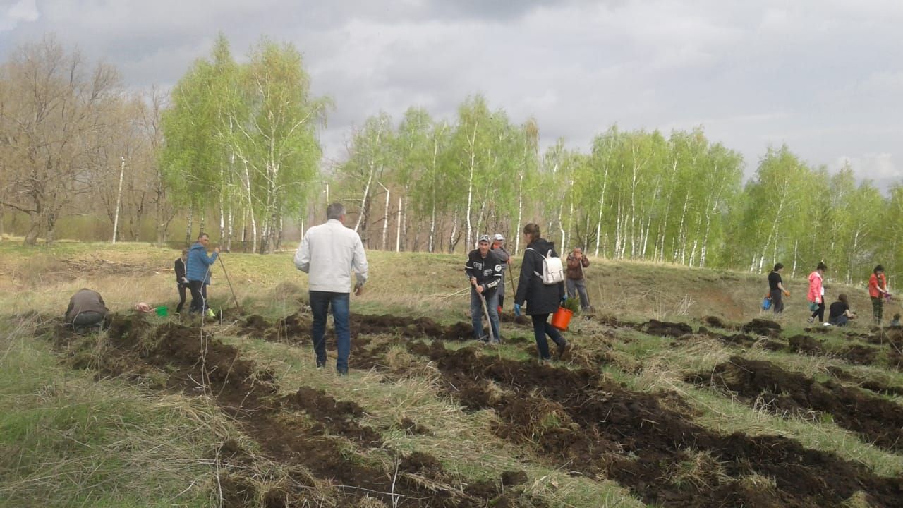 Актаныш урамнарын чыршылар бизи