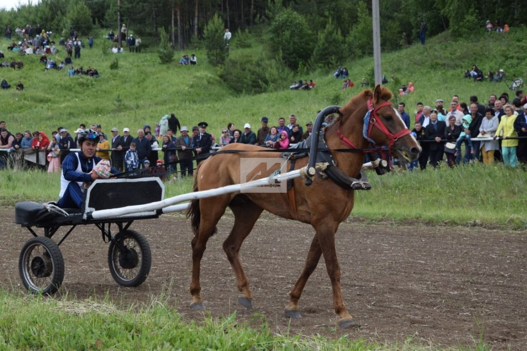 БЕЗНЕҢ ФОТОРЕПОРТАЖ: Татар – атсыз, ат – татарсыз, милли сабантуй ат чабышсыз булмас!