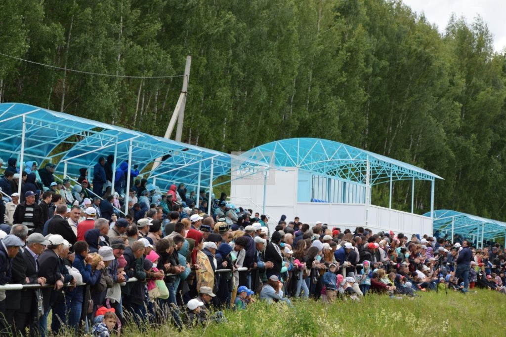 БЕЗНЕҢ ФОТОРЕПОРТАЖ: Татар – атсыз, ат – татарсыз, милли сабантуй ат чабышсыз булмас!