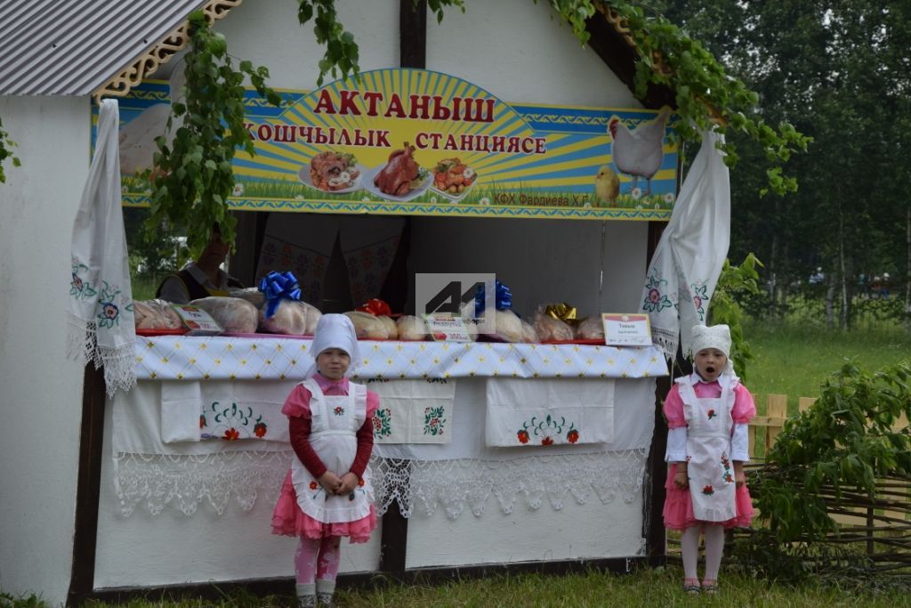 АКТАНЫШТА - ЫК БУЕ САБАНТУЕ: Бәйрәм кунаклары мәйданга су юлы аша килде (+ФОТОМИЗГЕЛЛӘР)