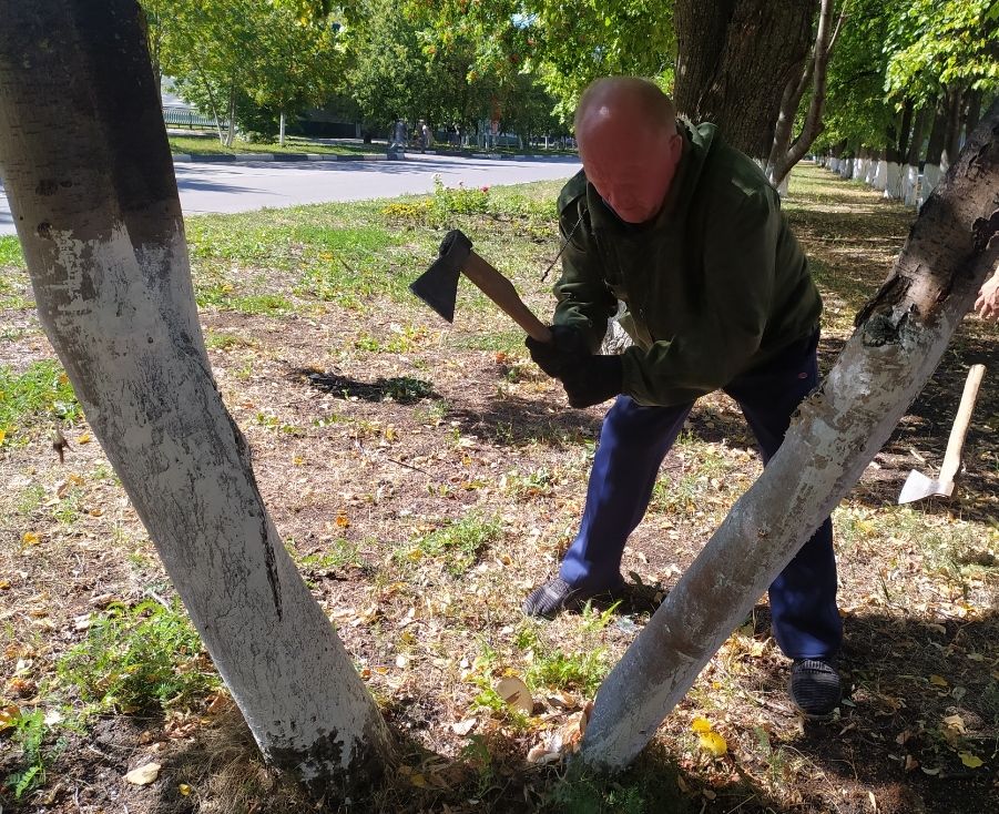 Актанышта районкүләм өмә: авылны чистартуда өлеш керттегезме?(фотолар)