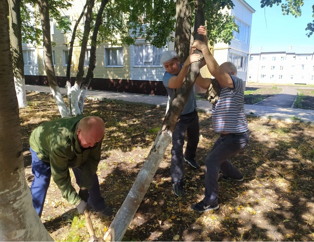 Актанышта районкүләм өмә: авылны чистартуда өлеш керттегезме?(фотолар)