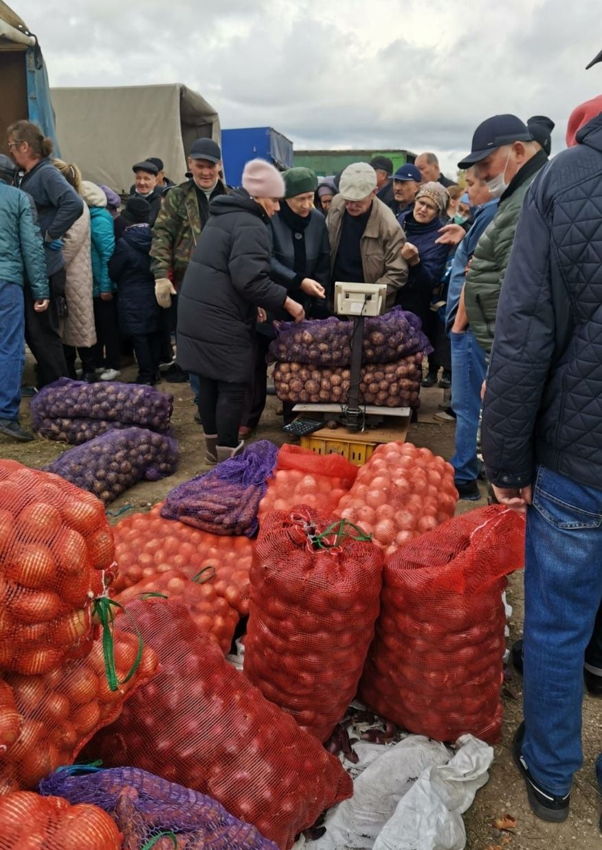 Актаныш хезмәтчәннәре Чаллыда ярминкәдә сату итте: Бәрәңге иң үтә торган товар, бәясе 30 сум