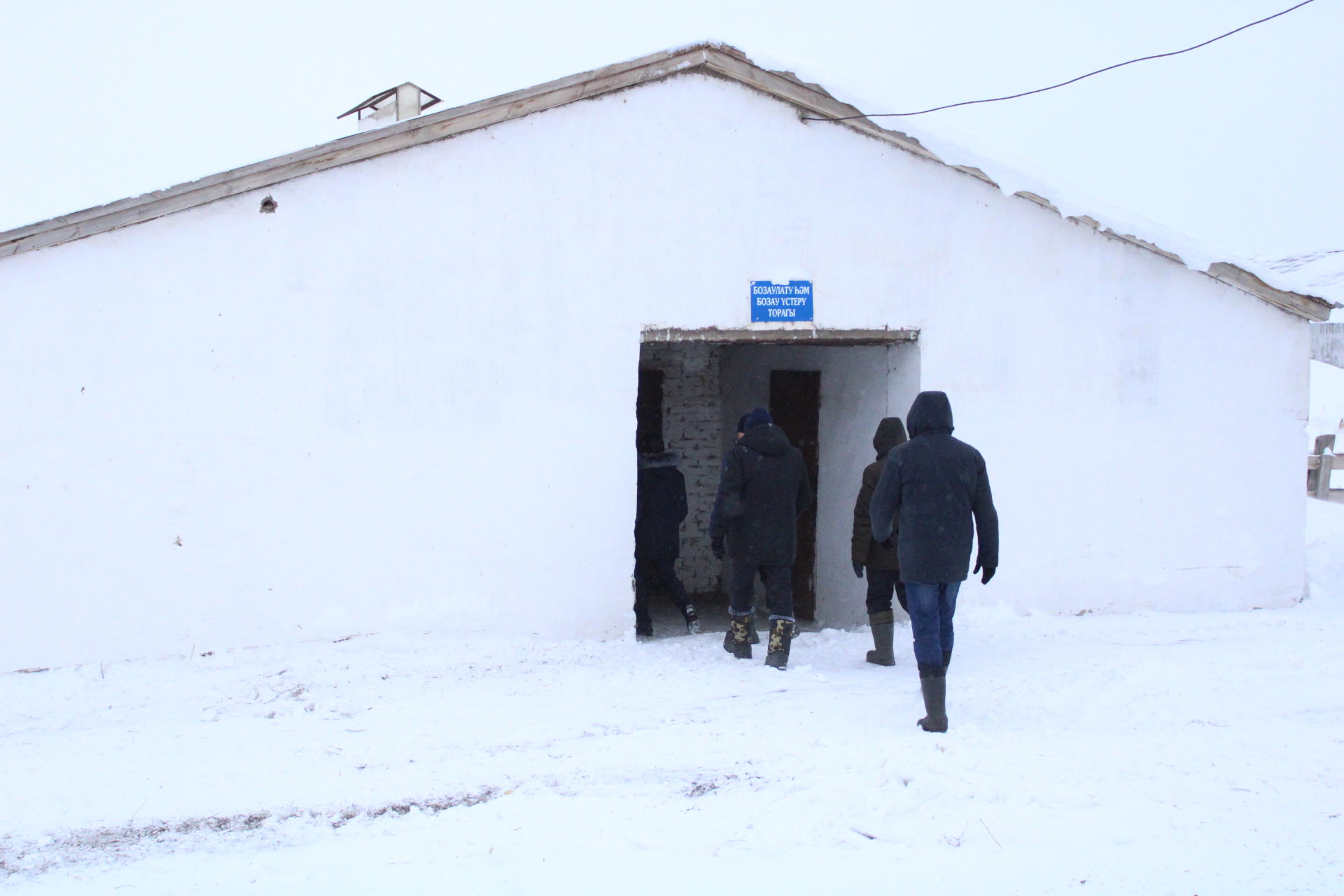 Энгель Фәттахов: Ялтырап торган бозаулар күрәсе килә