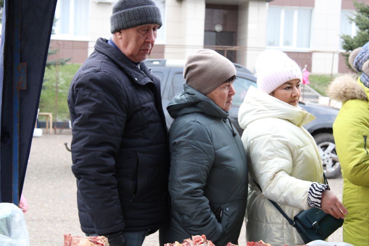 Актанышта бердәмлек ярминкәсе: Ите дә, сөте дә, арпа, бодае, хәтта җитене дә үзебезнеке (фото һәм видео)