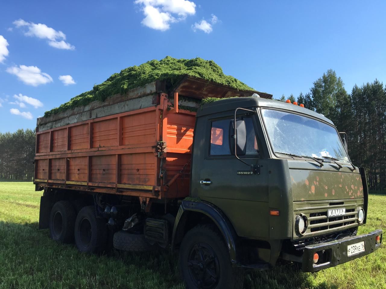 “Әнәк” агрофирмасының Иске Кормаш бүлекчәсендә сенаж салуда 6 механизатор-шоферны берләштергән бригада хезмәт куя