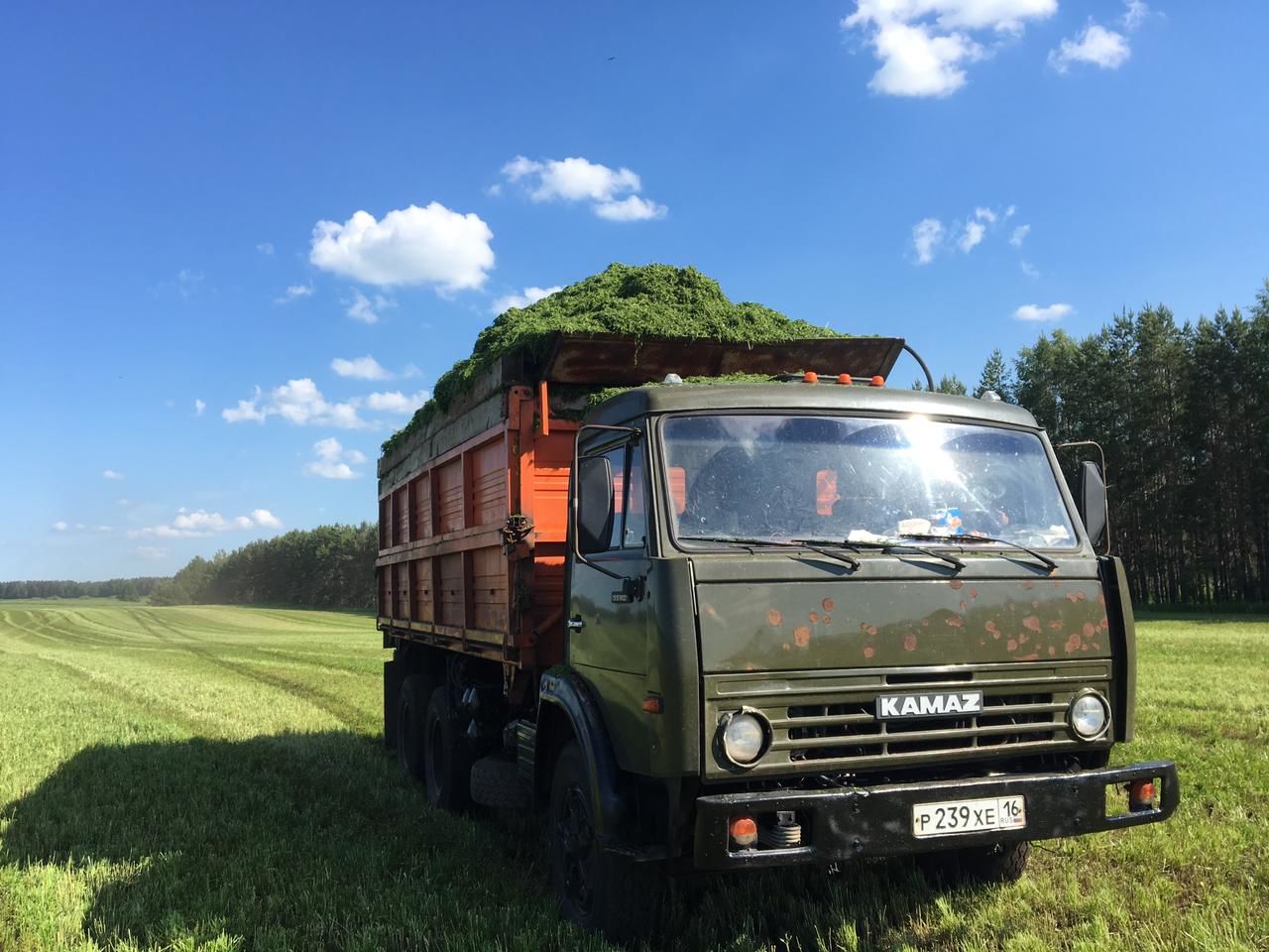 “Әнәк” агрофирмасының Иске Кормаш бүлекчәсендә сенаж салуда 6 механизатор-шоферны берләштергән бригада хезмәт куя