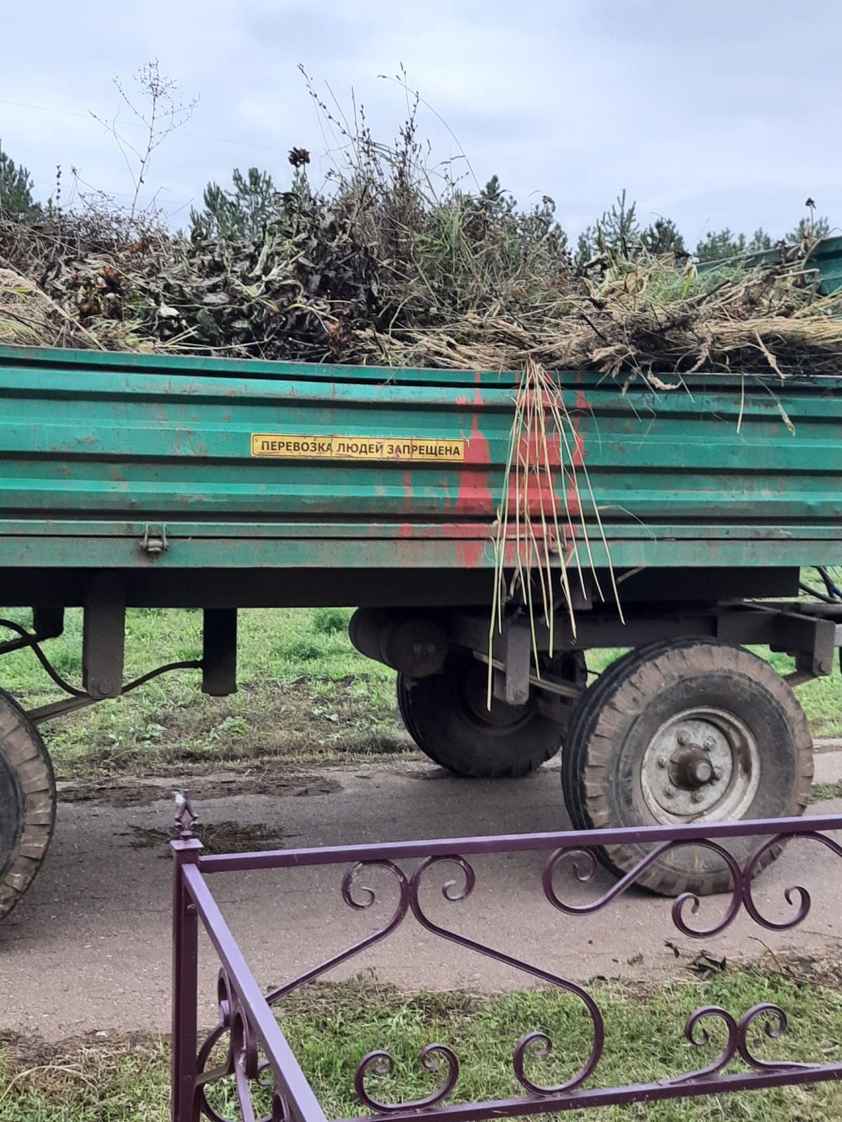 Актанышта яңа зиратта бүген дә өмә оештырылды