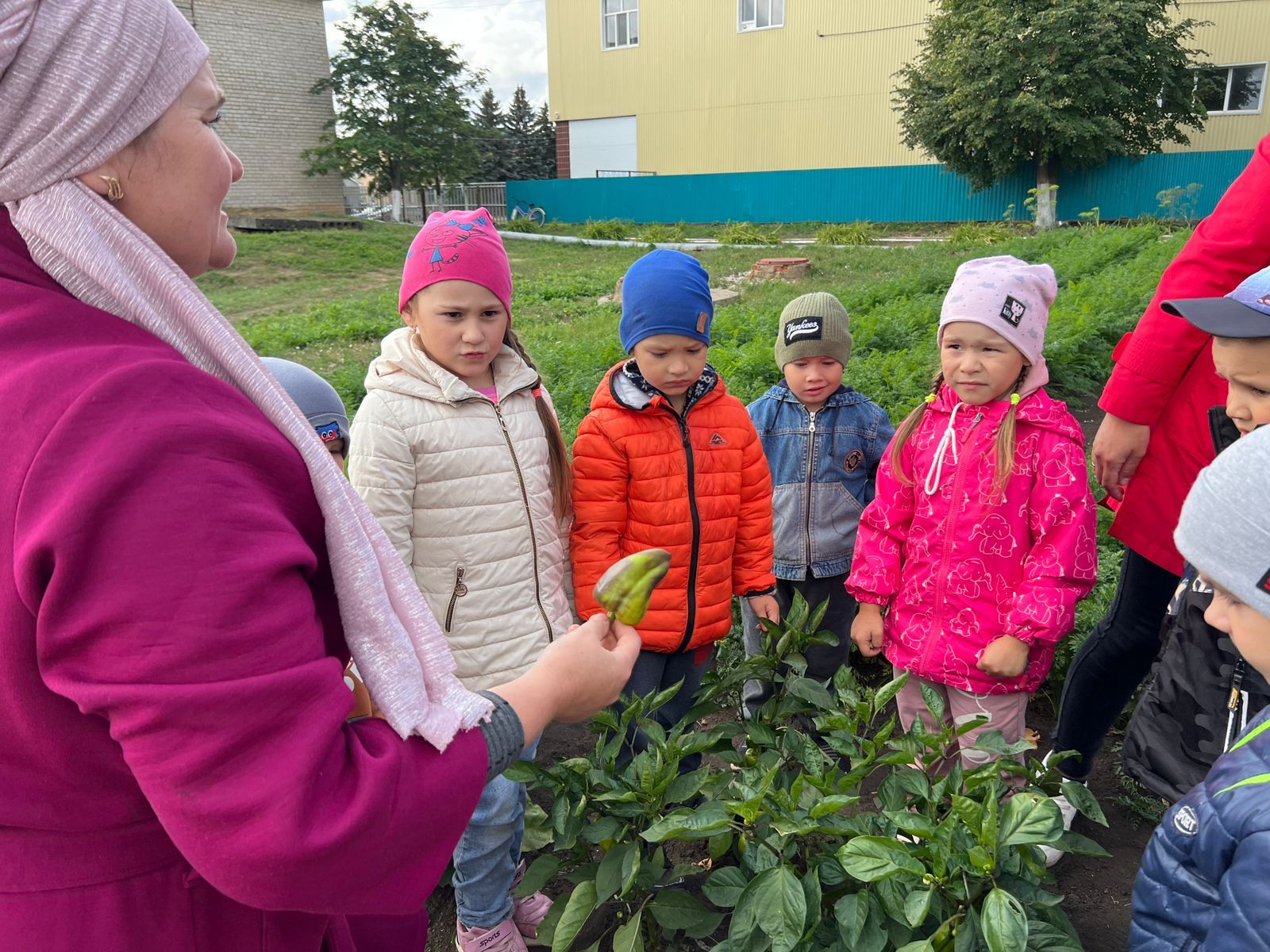 Яңа Әлем балалар бакчасы нәниләре үзләре үстергән уңышны җыйды