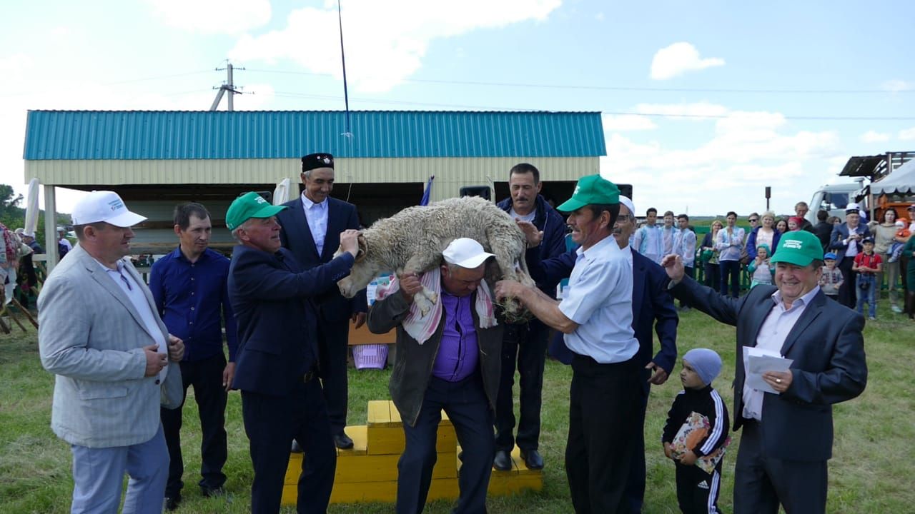 АВЫЛЛАРДА САБАНТУЙЛАР ГӨРЛИ : Чалманарат Сабантуеннан иң шәп 77 ФОТО