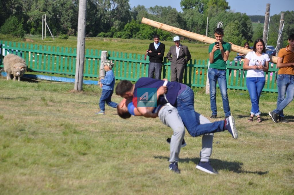 АВЫЛЛАРДА САБАНТУЙЛАР ГӨРЛИ : Чалманарат Сабантуеннан иң шәп 77 ФОТО