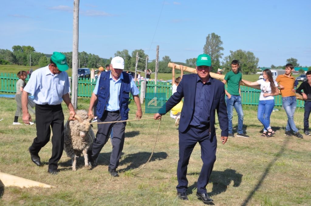 АВЫЛЛАРДА САБАНТУЙЛАР ГӨРЛИ : Чалманарат Сабантуеннан иң шәп 77 ФОТО