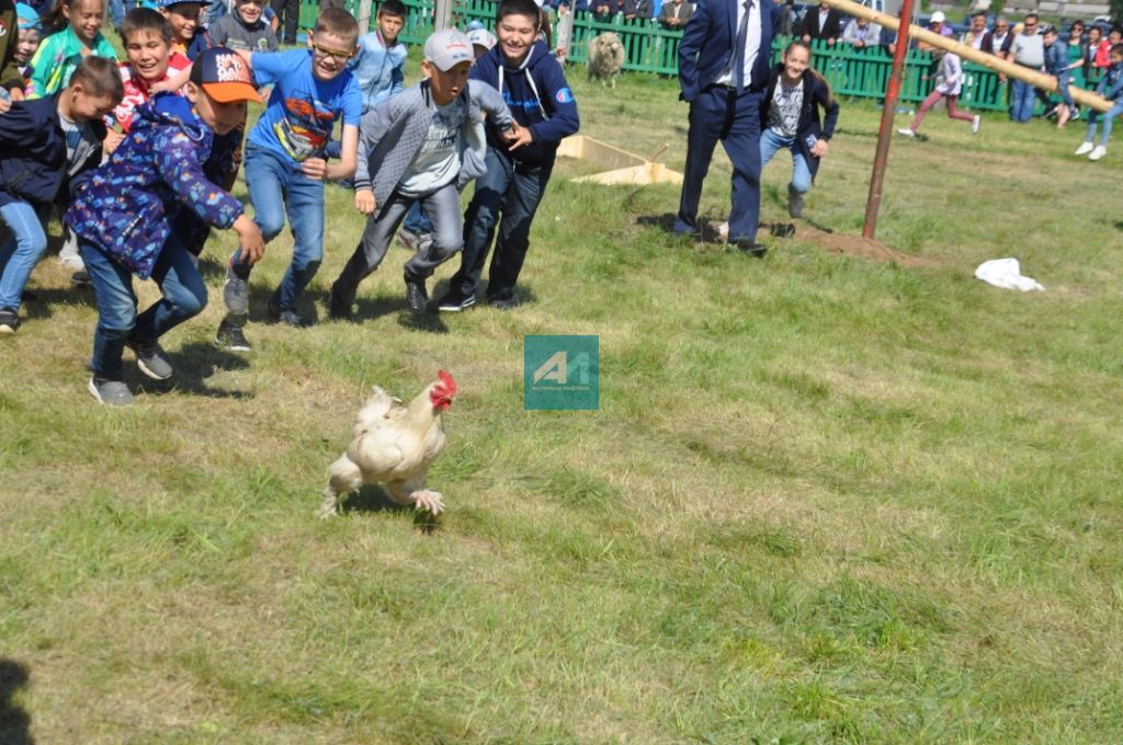 АВЫЛЛАРДА САБАНТУЙЛАР ГӨРЛИ : Чалманарат Сабантуеннан иң шәп 77 ФОТО