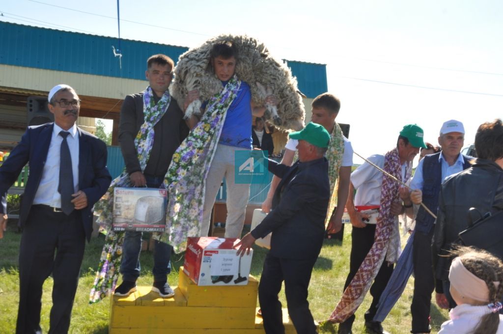 АВЫЛЛАРДА САБАНТУЙЛАР ГӨРЛИ : Чалманарат Сабантуеннан иң шәп 77 ФОТО