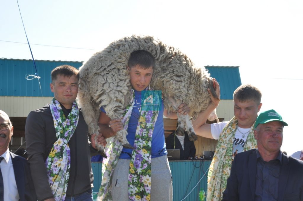 АВЫЛЛАРДА САБАНТУЙЛАР ГӨРЛИ : Чалманарат Сабантуеннан иң шәп 77 ФОТО