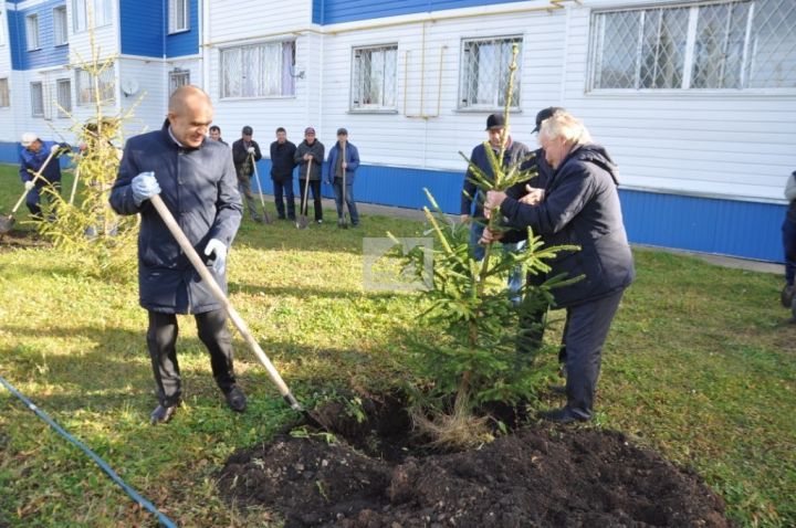 ЯШЕЛЛЕККӘ ТӨРИК АКТАНЫШНЫ!:  Районда  «Урман атналыгы-2019» акциясе  башланды (+ФОТОЛАР)