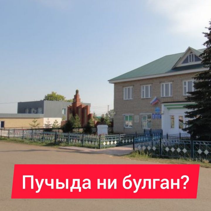 Пучыда ни булган?