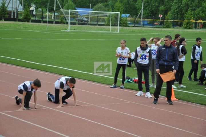 СПОРТ ҺӘМ БЕЗ: Актаныш укучылары ГТО нормаларын тапшыра (+ФОТОЛАР)