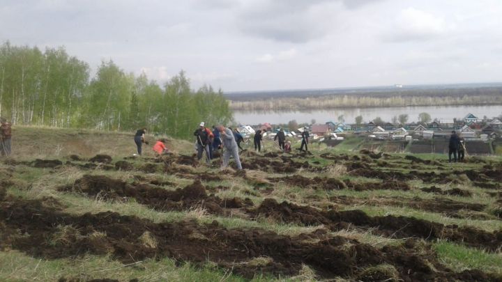 Актаныш урамнарын чыршылар бизи