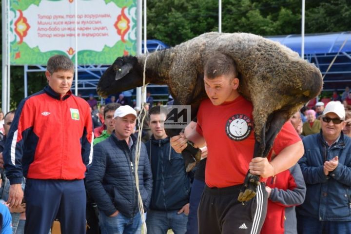 КЕЛӘМНӘРДӘ БИЛ АЛЫША ЕГЕТЛӘРНЕҢ АСЫЛЫ: Актанышта үткән Ык буе Сабан туе-2019 абсолют батыры билгеле (+ФОТОЛАР)