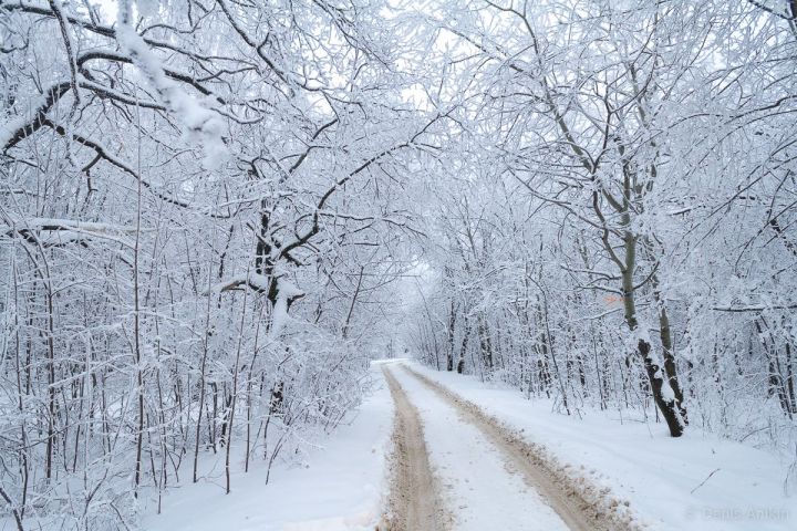 8 гыйнварга һава торышы