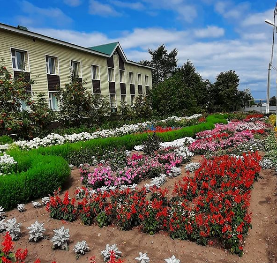 КҮРЕГЕЗ ӘЛЕ, НИНДИ МАТУРЛЫК: Такталачыктагы мәктәпләрнең чәчәклеге бу