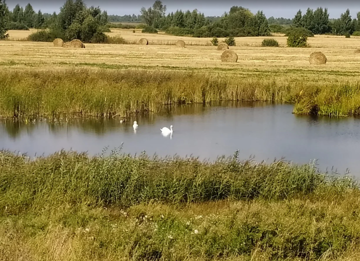 "ӘБИЛӘР ЧУАГЫ"НА ӨМЕТ АЗ