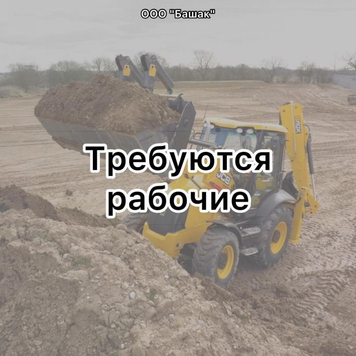 В ООО «Башак» требуются рабочие