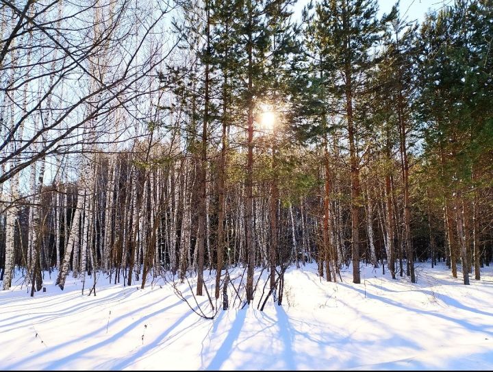 Февраль ахыры кемнәргә бәхет, уңыш, байлык китерер?