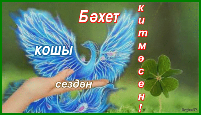 ӘДӘБИ БАЛКЫШ: Бәхетлемен чиксез...