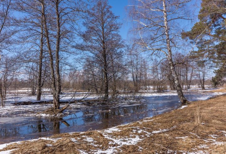 Рөстәм Миңнеханов район башлыкларына язгы ташу белән хәлне даими контрольдә тотарга кушты