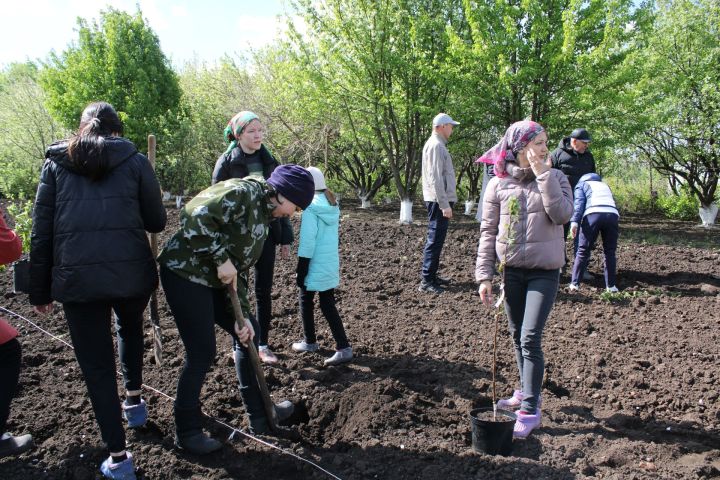 Мари Суыксуындагы «Хәтер бакчасы» данлы батырлар рухын кадерләп саклар