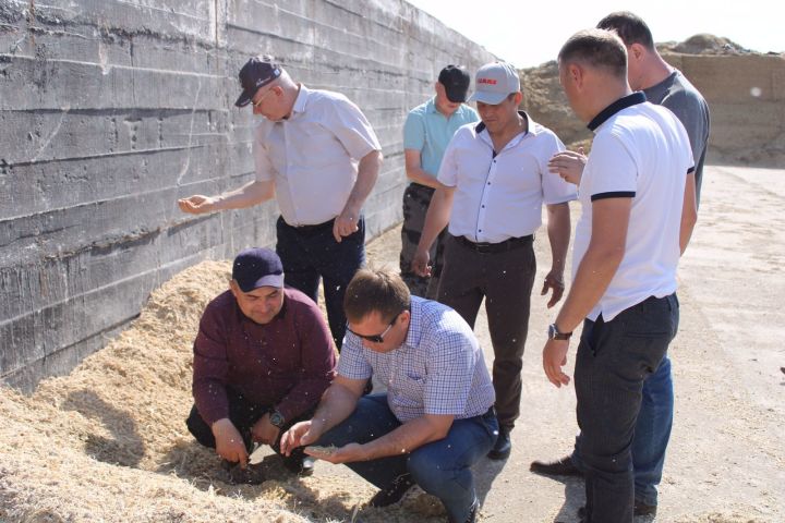 Терлек азыгы әзерләүгә кичекмәстән керешергә кирәк-үсемлектә аксым кими