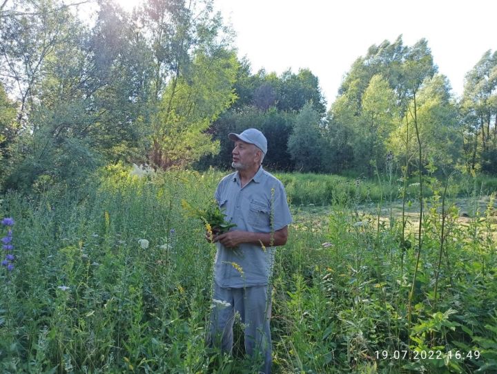 ТЕШ ТАБИБЫ ӘСХӘР ЗАМАНОВ:"Сары мәтрүшкә күпкә файдалырак!"