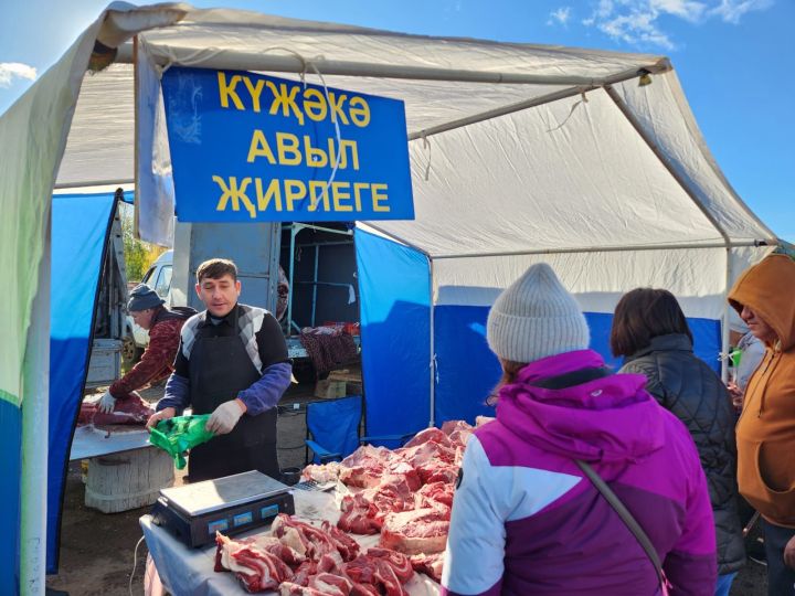 Безнекеләр ярминкәдә: Районыбызның авыл хуҗалыгы хезмәтчәннәре Чаллы халкын сөендерә