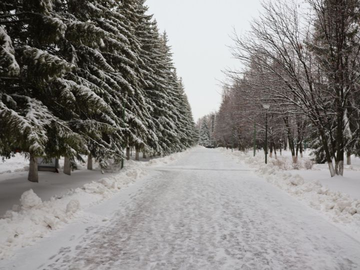 Ялларда ерактан кунаклар көтегез: 22-29 ноябрьгә йолдызнамә