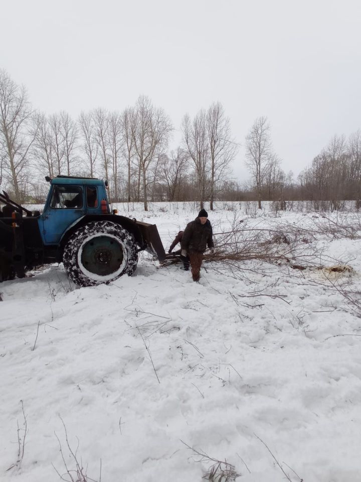 Бүген Богады авыл зиратын зур агачлардан арындыралар