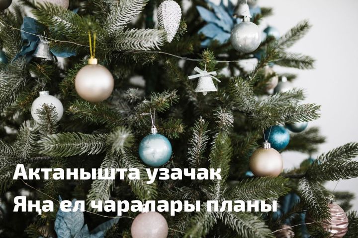 Яңа ел бәйрәме вакытына чаралар планы расланды